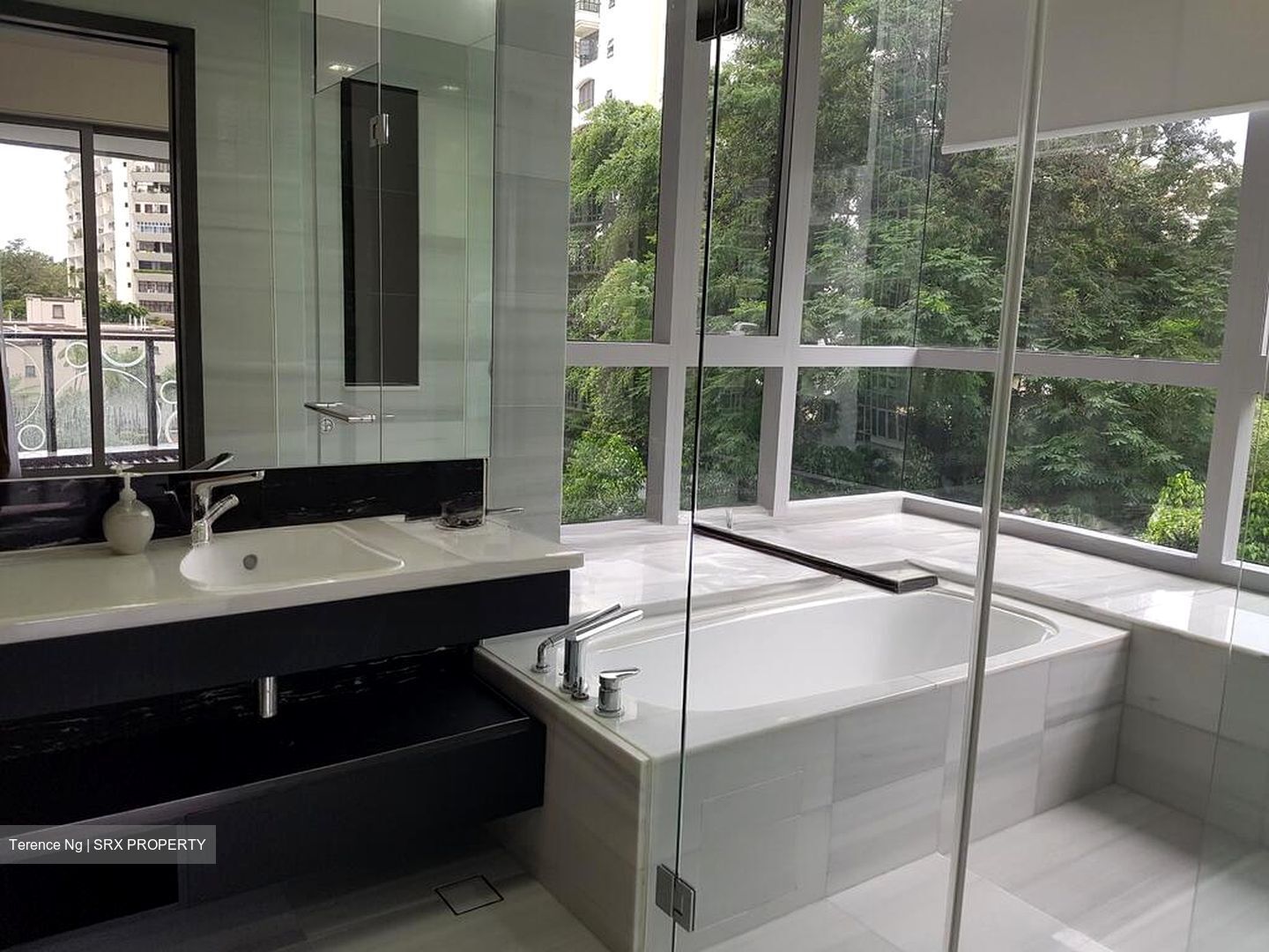 Hallmark Residences (D10), Condominium #499596341